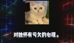 吃瓜娱乐八卦直播间,吃瓜娱乐八卦背后的故事