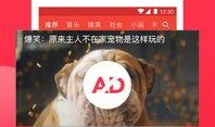 娱乐吃瓜视频模版照片,跟随吃瓜视频，一探明星幕后生活
