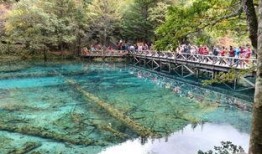 北关文化沟最新爆料