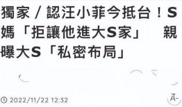 钟老师爆料汪小菲视频,一场意外的网络风波