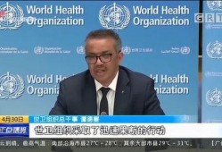 谭德赛最新爆料消息新闻,揭秘疫情背后惊人真相！”