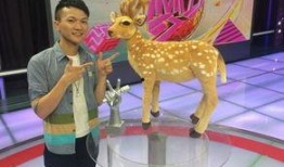 广州新闻爆料小鹿视频,小鹿视频独家爆料，揭秘背后故事