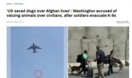 美国加州病毒爆料视频播放,揭秘疫情真相与应对措施