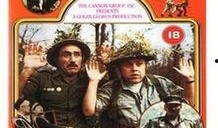 小兵从军记在线观看,青春热血的军旅成长历程