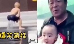 娃娃爆料最新搞笑视频在线观看,最新搞笑视频，笑料百出，在线观看乐翻天！