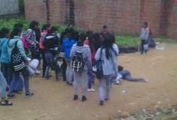 桃城中学爆料学生事件视频,真相与反思