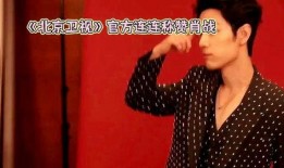 牛仔爆料视频大全集,揭秘视频大全集背后的精彩瞬间