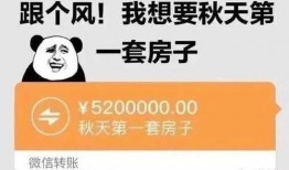 奶茶爆料采访视频文案,独家采访视频揭秘幕后故事