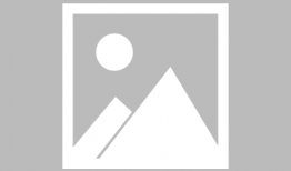 枫丹最新爆料新闻联播