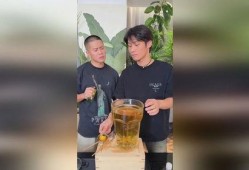 大杨哥爆料喝酒视频,揭秘酒桌上的真实一面