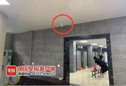 广西王女士最新爆料,揭秘惊人内幕！