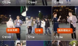 石油网红爆料视频播放,视频播放背后的惊人数据与现象