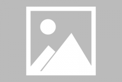 枫丹最新爆料新闻联播