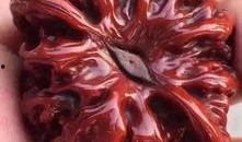 包浆爆料视频大全集,揭秘古董收藏的奥秘与魅力