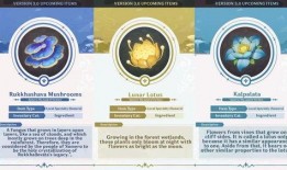 草神爆料视频,神秘力量觉醒，奇幻世界即将展开