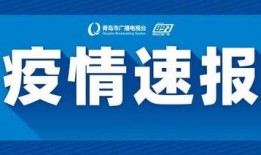 奉贤头条爆料新闻最新视频