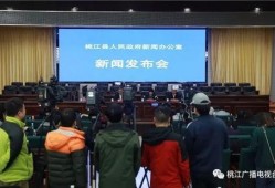 桃江县新闻爆料,揭秘当地热点事件背后的真相