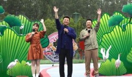 新疆最新新闻爆料消息视频,揭秘神秘事件背后的真相