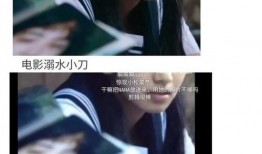 在娱乐圈吃瓜小说,揭秘明星背后的秘密与八卦风云
