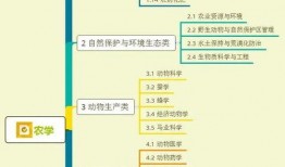 大伟哥爆料新引擎视频大全,新引擎视频大全深度解析