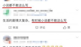 娱乐圈最真实的爆料小说