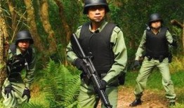 机动部队伙伴在线观看,热血激战，兄弟情深