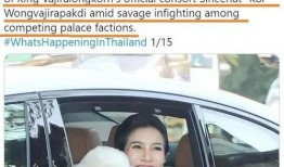 泰国王室最新新闻爆料,神秘事件背后真相揭晓