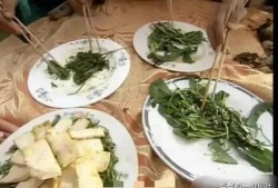 邯郸新瓜最新爆料,揭秘背后惊人真相