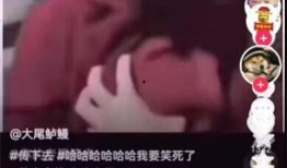 包浆爆料视频大全集,揭秘古董收藏的奥秘与魅力