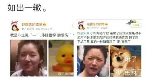 吃瓜吐槽娱乐圈文,吃瓜群众吐槽大会